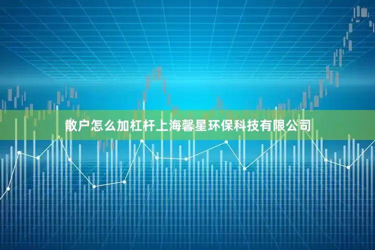 散户怎么加杠杆上海馨星环保科技有限公司