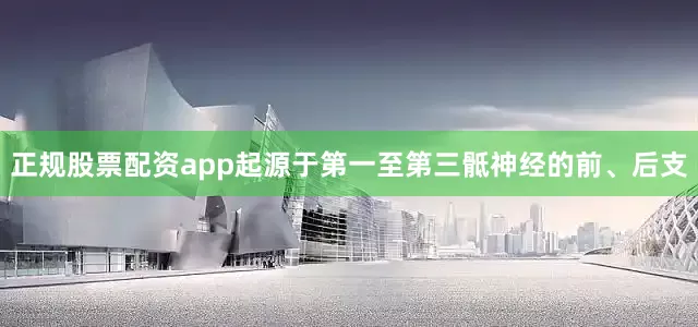 正规股票配资app起源于第一至第三骶神经的前、后支