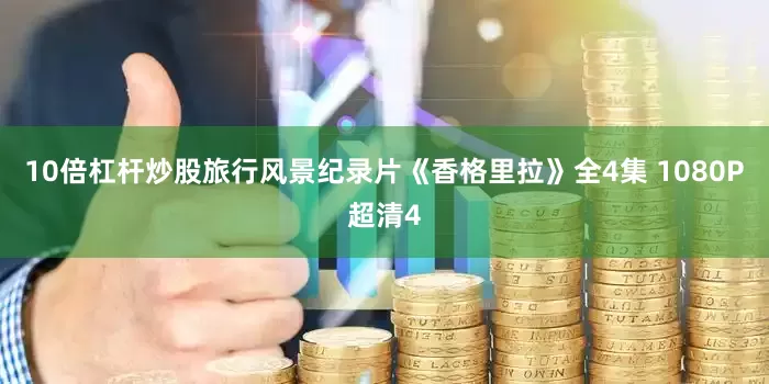 10倍杠杆炒股旅行风景纪录片《香格里拉》全4集 1080P超清4