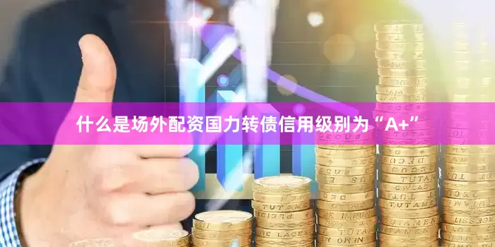 什么是场外配资国力转债信用级别为“A+”